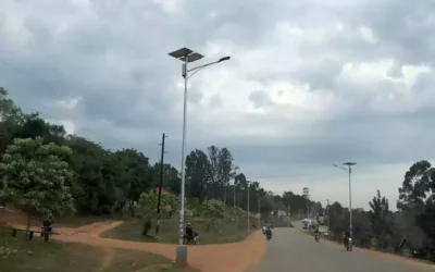 On cows and Solar panels: