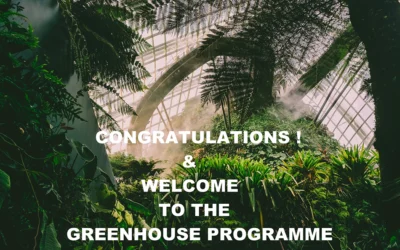 Olwg Wins a Place on The Greenhouse Innovation Programme