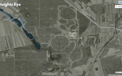 The Art of the Solar Farm