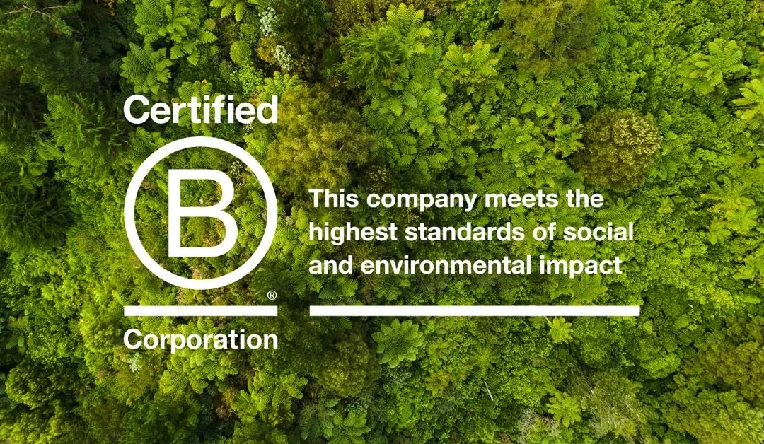 Olsights Certified BCorp in March 2024