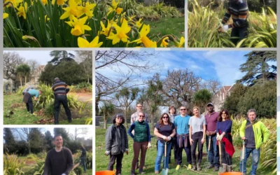 Team Olwg Spring Volunteering Day