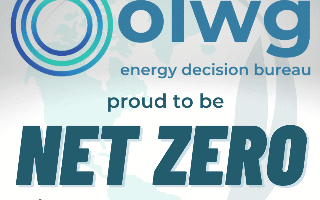 Olwg Net Zero Since May 2022