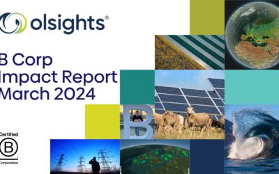 Olsights B Corp Impact Report