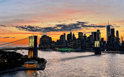 Exploring the Clean Energy Landscape: Olsights Visits New York